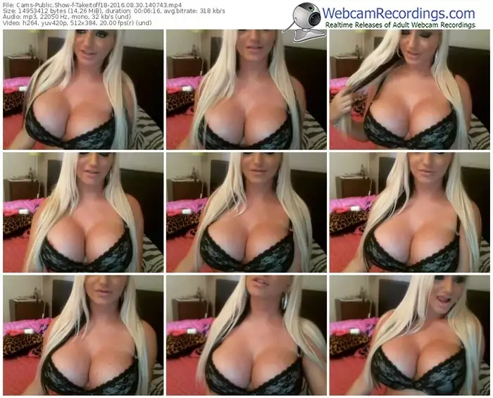 cams-takeitoff18-webcam-show-08_30_2016-14_07_43