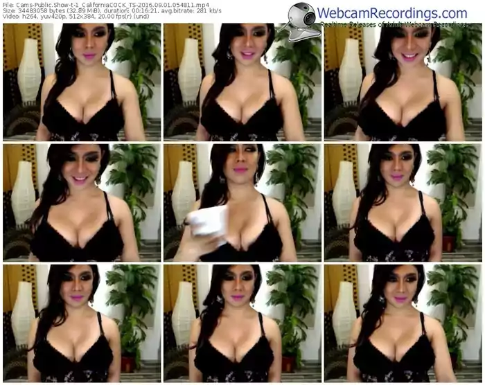 cams-1_californiacock_ts-webcam-show-09_01_2016-05_48_11