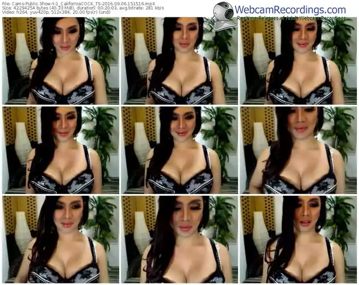 cams-1_californiacock_ts-webcam-show-09_06_2016-15_15_16