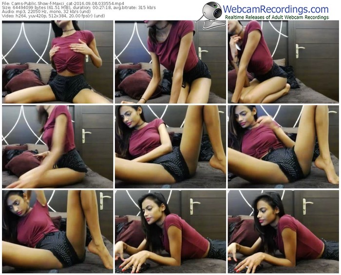 cams-maxci_cat-webcam-show-09_08_2016-03_35_54