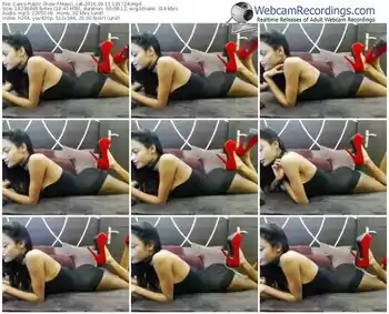 cams-maxci_cat-webcam-show-09_11_2016-19_17_24