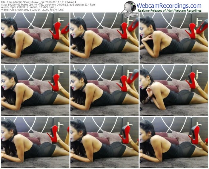 cams-maxci_cat-webcam-show-09_11_2016-19_17_24