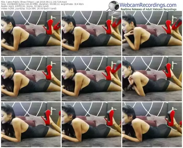 cams-maxci_cat-webcam-show-09_11_2016-19_17_24