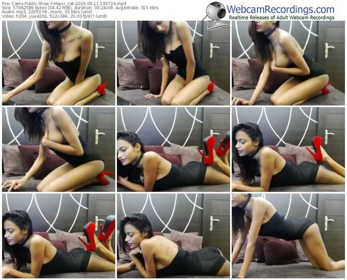 cams-maxci_cat-webcam-show-09_11_2016-19_37_24