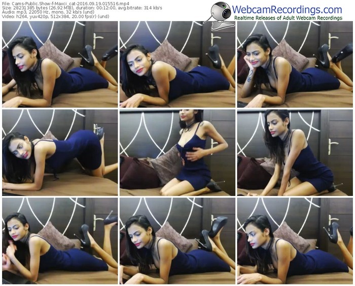 cams-maxci_cat-webcam-show-09_19_2016-01_55_16