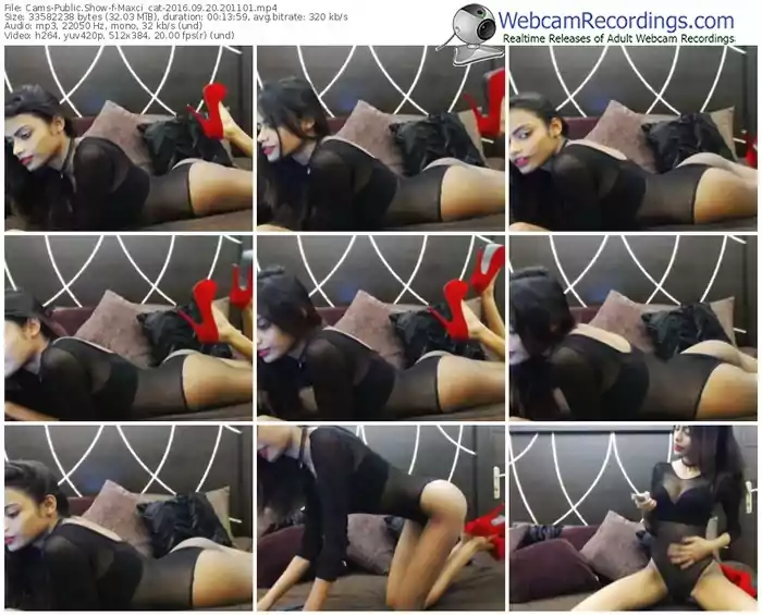 cams-maxci_cat-webcam-show-09_20_2016-20_11_01