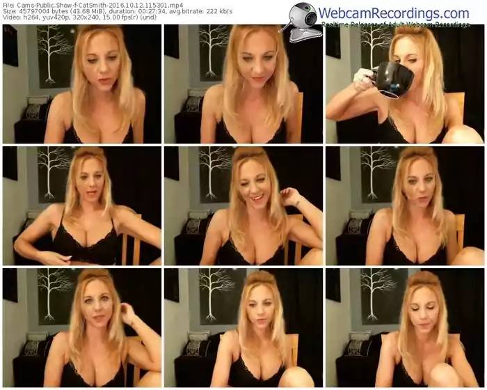 cams-catsmith-webcam-show-10_12_2016-11_53_01