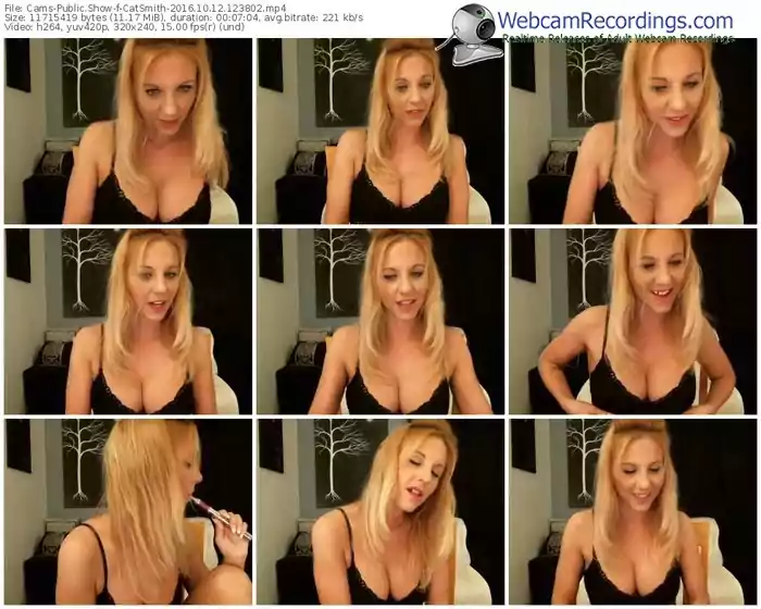 cams-catsmith-webcam-show-10_12_2016-12_38_02