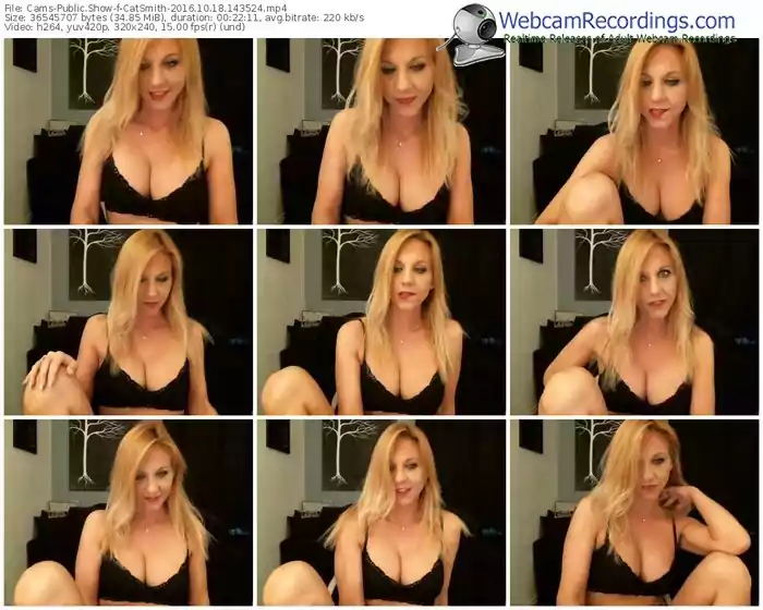 cams-catsmith-webcam-show-10_18_2016-14_35_24