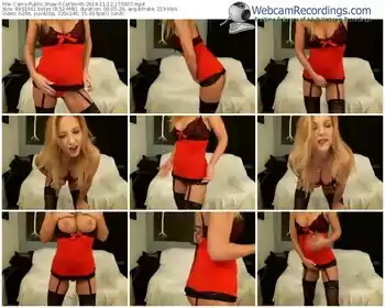 cams-catsmith-webcam-show-11_12_2016-17_00_07