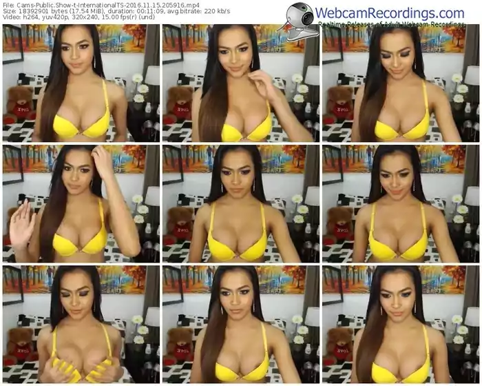 cams-internationalts-webcam-show-11_15_2016-20_59_16