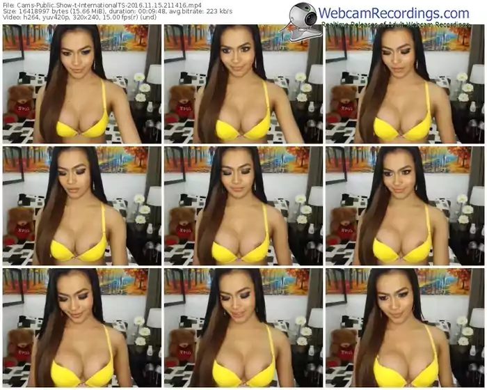 cams-internationalts-webcam-show-11_15_2016-21_14_16