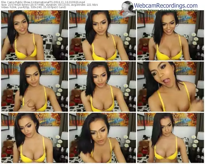 cams-internationalts-webcam-show-11_16_2016-01_09_20