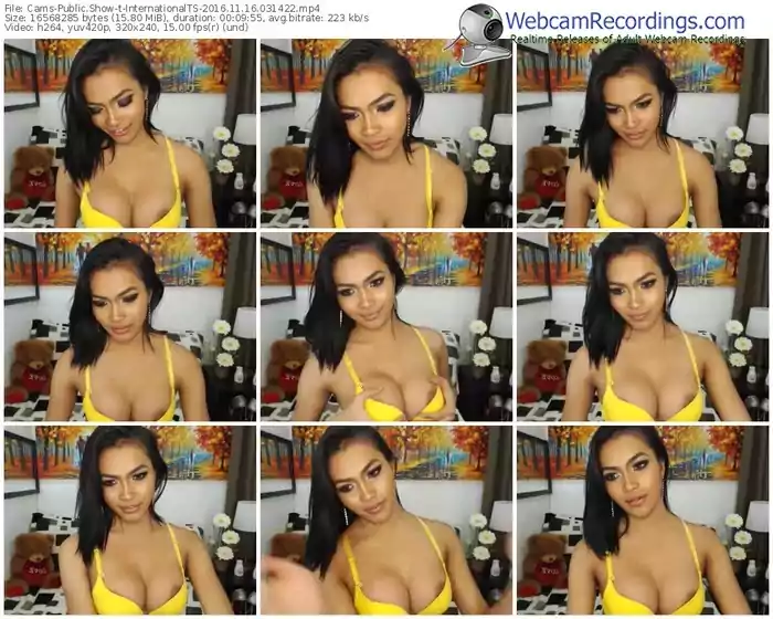 cams-internationalts-webcam-show-11_16_2016-03_14_22