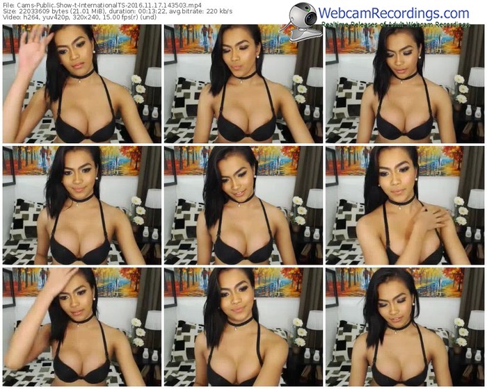 cams-internationalts-webcam-show-11_17_2016-14_35_03