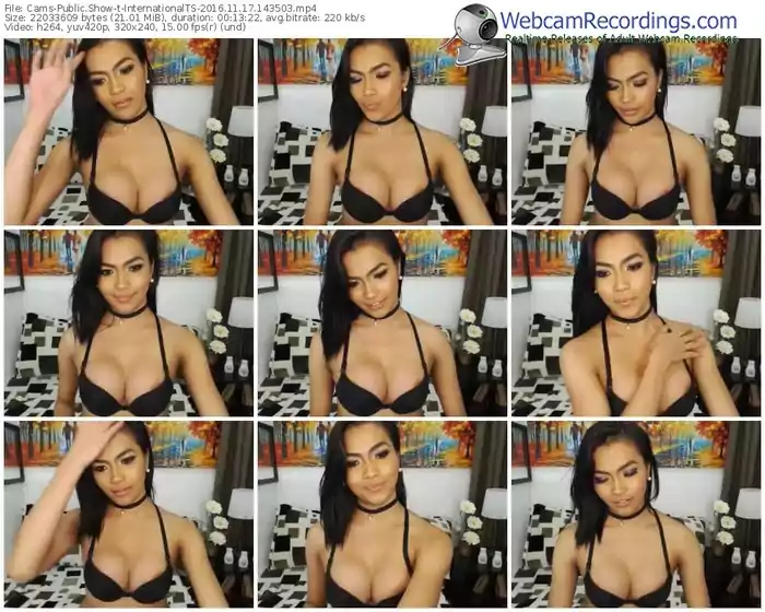 cams-internationalts-webcam-show-11_17_2016-14_35_03