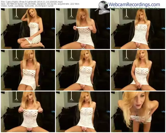 cams-catsmith-webcam-show-11_18_2016-16_40_30