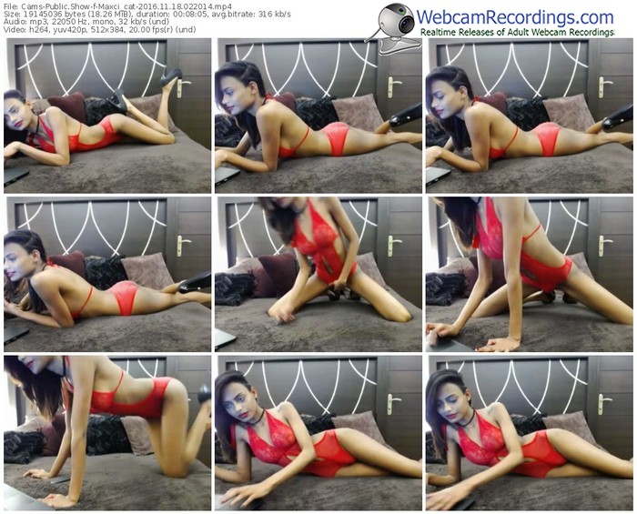 cams-maxci_cat-webcam-show-11_18_2016-02_20_14