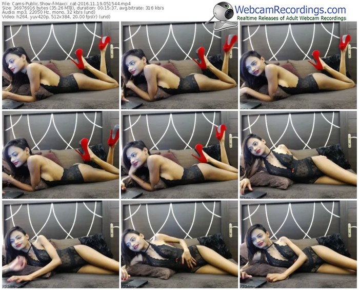 cams-maxci_cat-webcam-show-11_19_2016-05_15_44