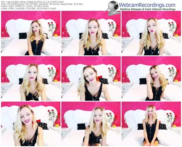 cams-nadyss-webcam-show-11_19_2016-17_25_57