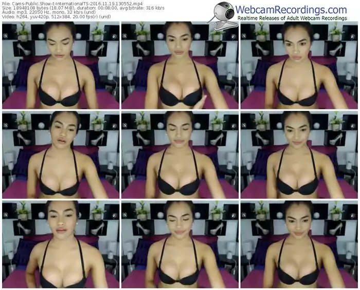 cams-internationalts-webcam-show-11_19_2016-13_05_52