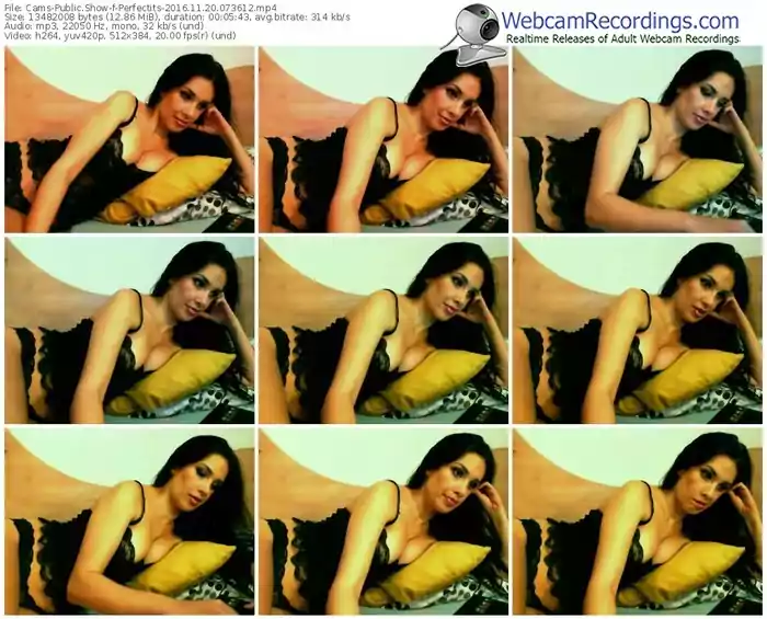 cams-perfectits-webcam-show-11_20_2016-07_36_12