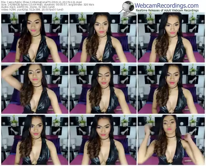 cams-internationalts-webcam-show-11_20_2016-15_11_21