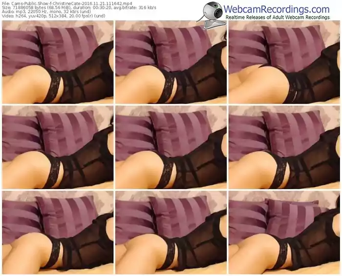 cams-christinecate-webcam-show-11_21_2016-11_16_42