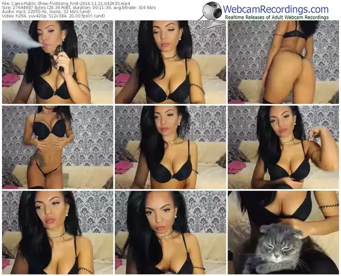 cams-viktoria_first-webcam-show-11_21_2016-04_26_35