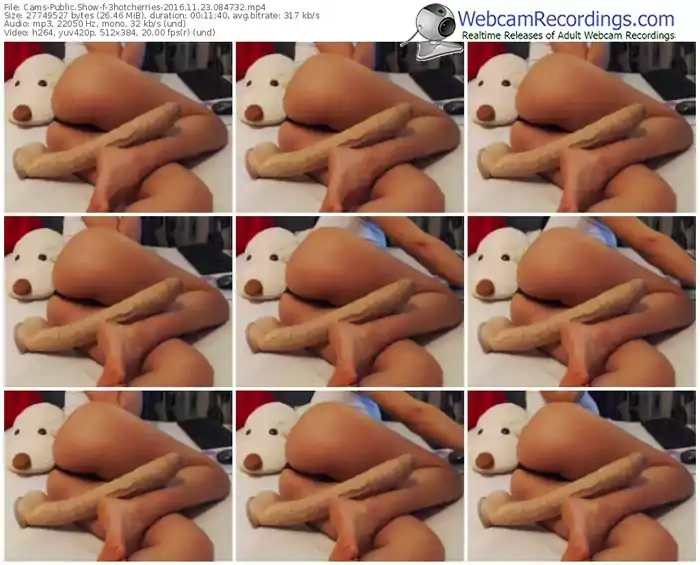 cams-3hotcherries-webcam-show-11_23_2016-08_47_32
