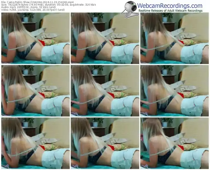 cams-dalyah-webcam-show-11_23_2016-15_42_40