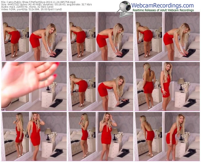 cams-perfectskye-webcam-show-11_24_2016-08_57_58