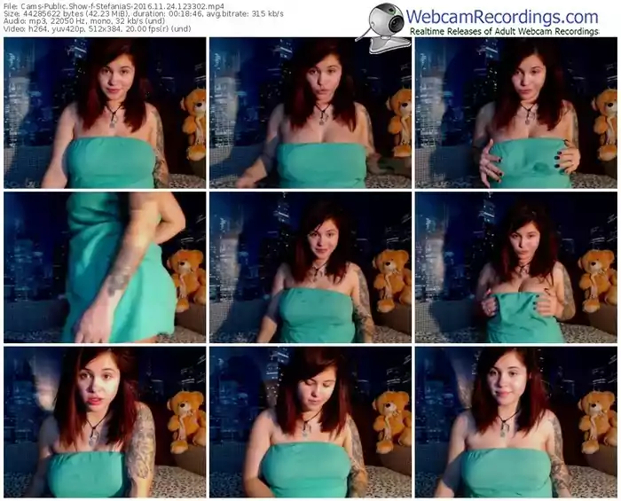 cams-stefanias-webcam-show-11_24_2016-12_33_02