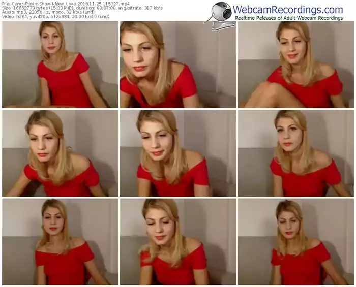 cams-new_love-webcam-show-11_25_2016-11_53_27