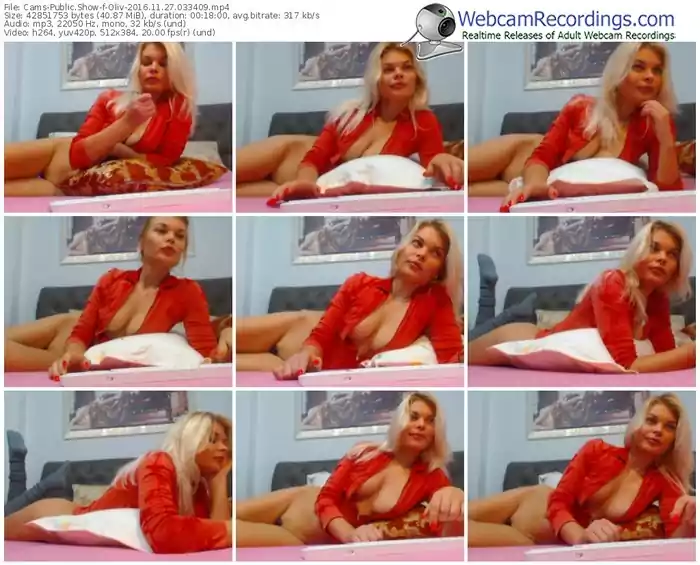 cams-oliv-webcam-show-11_27_2016-03_34_09