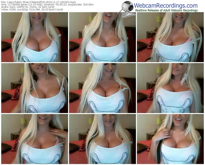 cams-takeitoff18-webcam-show-11_27_2016-16_04_22