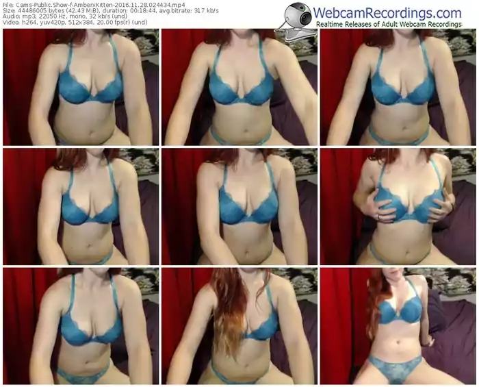 cams-amberxkitten-webcam-show-11_28_2016-02_44_34