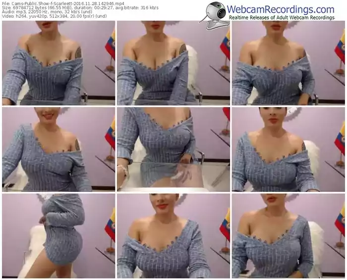 cams-scarleett-webcam-show-11_28_2016-14_29_46
