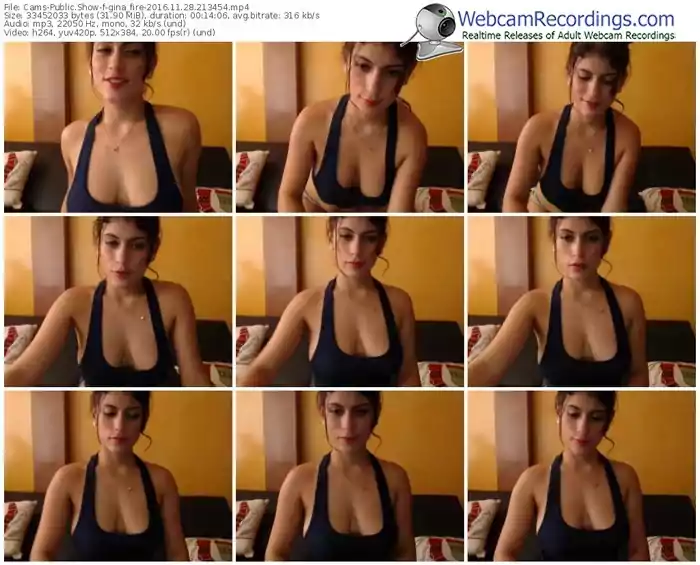 cams-gina_fire-webcam-show-11_28_2016-21_34_54
