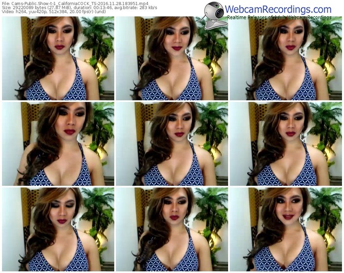 cams-1_californiacock_ts-webcam-show-11_28_2016-18_39_51