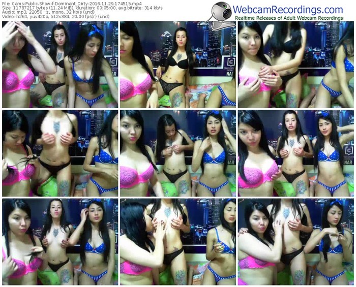 cams-dominant_dirty-webcam-show-11_29_2016-17_45_15