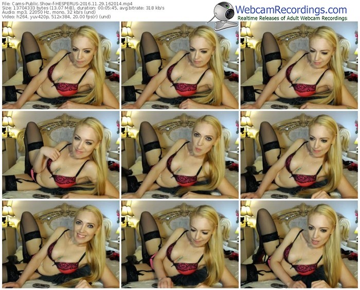 cams-hesperus-webcam-show-11_29_2016-16_20_14