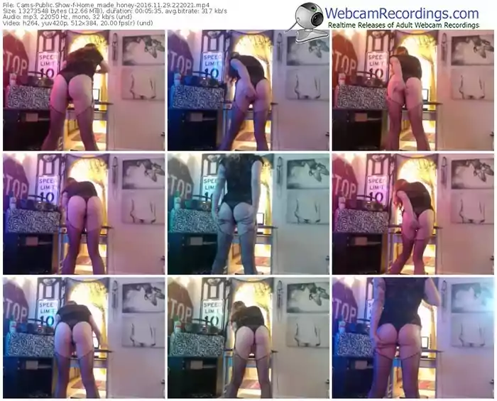 cams-home_made_honey-webcam-show-11_29_2016-22_20_21