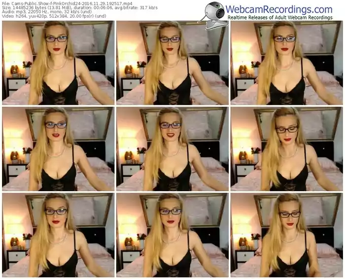 cams-pinkorchid24-webcam-show-11_29_2016-19_25_17