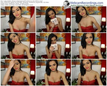 cams-internationalts-webcam-show-11_29_2016-13_45_11