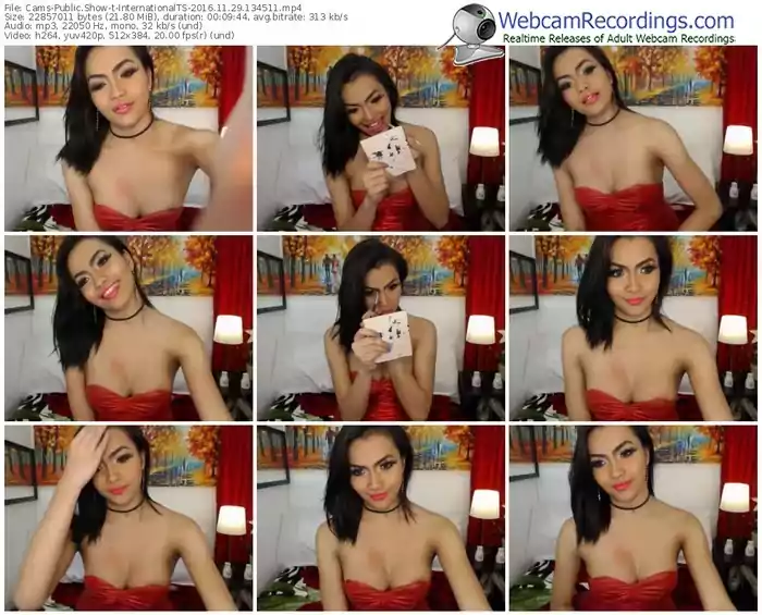 cams-internationalts-webcam-show-11_29_2016-13_45_11