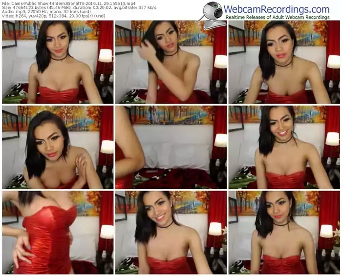 cams-internationalts-webcam-show-11_29_2016-15_55_13