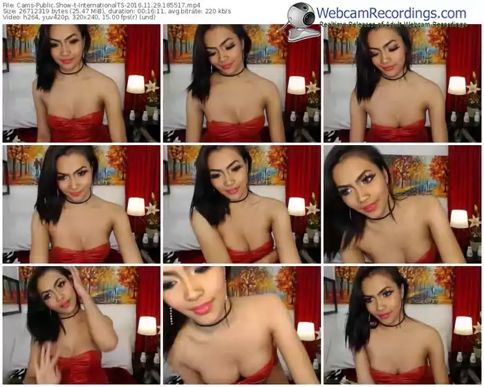 cams-internationalts-webcam-show-11_29_2016-18_55_17