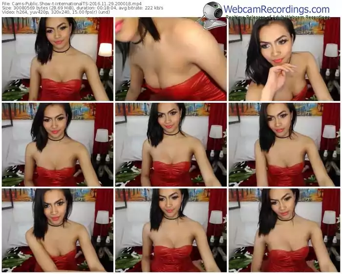 cams-internationalts-webcam-show-11_29_2016-20_00_18