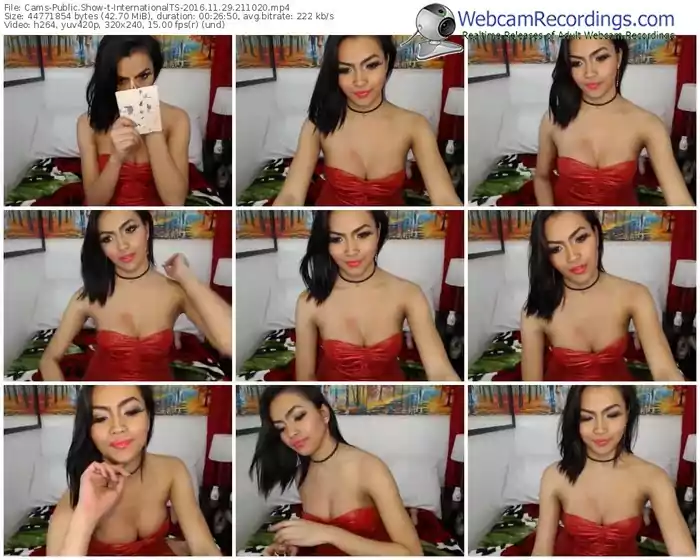 cams-internationalts-webcam-show-11_29_2016-21_10_20